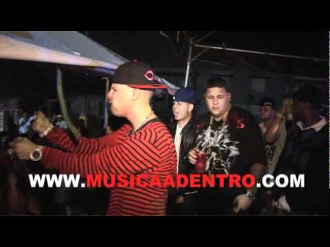 ALQAEDA PARTY REALITY PREVIEW