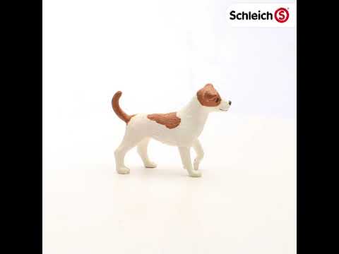 Schleich figūrėlė Džeko Raselo terjeras video