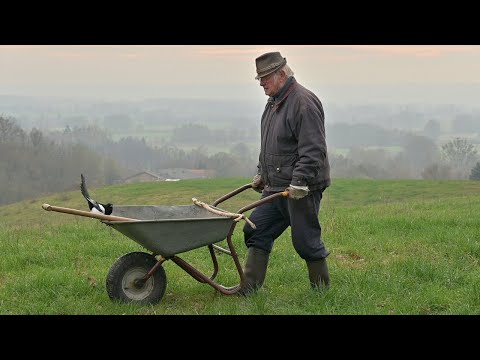 The story of Else the magpie (the Else story), part 8