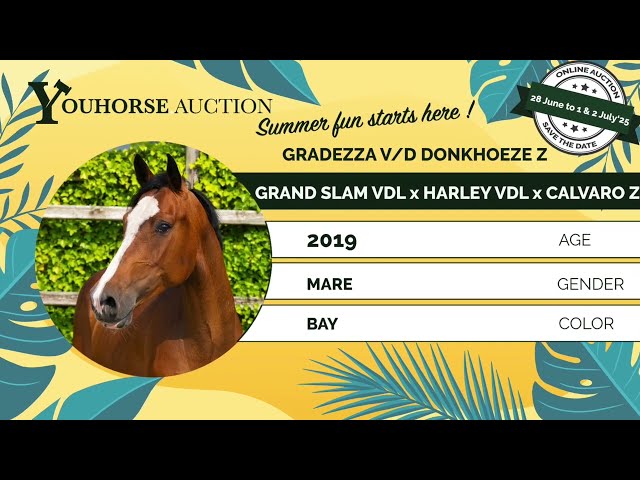 Gradezza vd Donkhoeve just saddle broken