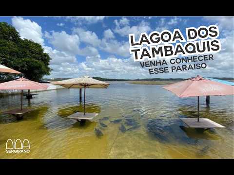 VOCÊ PRECISA CONHECER A LAGOA DOS TAMBAQUIS EM ESTÂNCIA SERGIPE - PREÇOS E LUGARES PRÓXIMOS