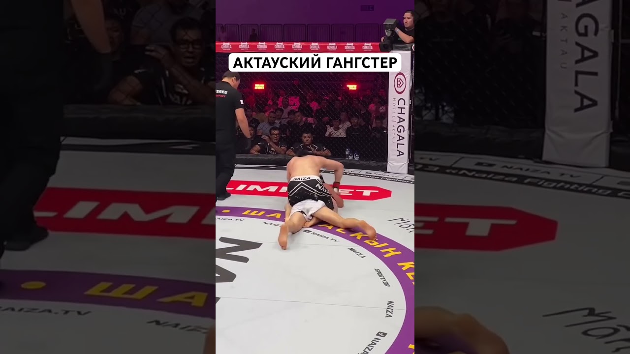 видео