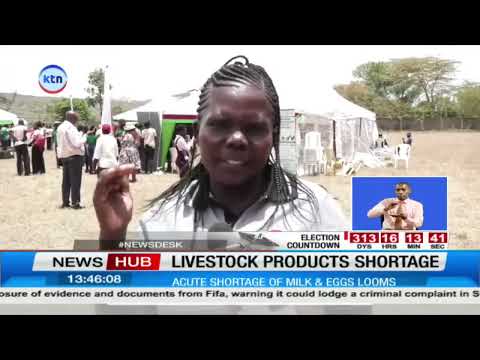 Livestock Farmers Warn of Possible Milk, Egg Shortages Over Rising Costs Animal Feeds