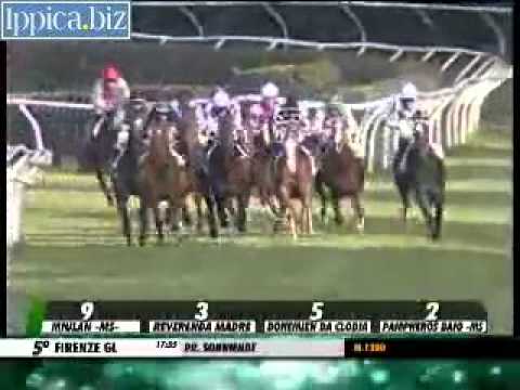 12/04/2014, Firenze , Premio Sonniende