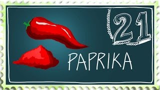 How to grow Paprika - Suburban Homestead EP21
