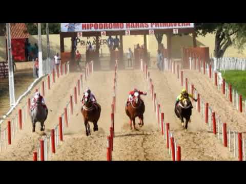 2 Páreo: Clas XI GP Haras Primavera -.Canindé - Ceará - 16, 17 e 18 de Março de 2018