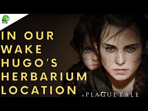 A Plague Tale Requiem In Our Wake Hugo’s Herbarium Location