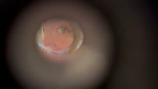 Disney Treasure Day 4