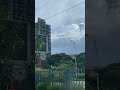 Trump Towers Kolkata Shorts