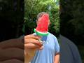 what a watermelon pop looks like