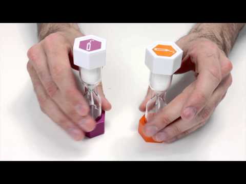 Wordy Word - Overview