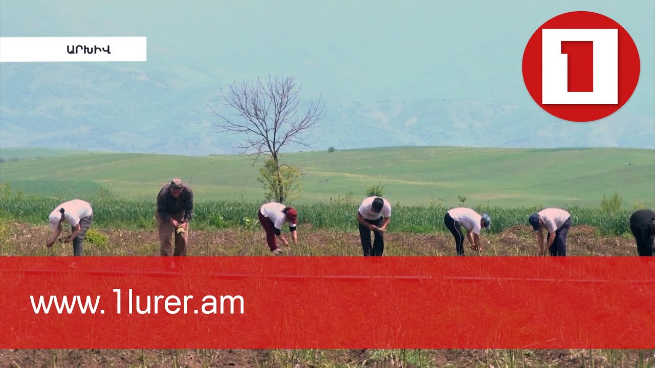 Այս տարվա հունվար-մայիսին Հայաստանում տնտեսական ակտիվության ցուցանիշը 4,3 տոկոս է