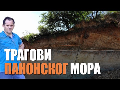 TRAGOVI Panonskog MORA