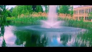 【 Zen of Spring 春色之禅 】 | Rogers Brampton Park | Film on iphone