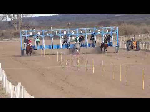 CONESA   10°  ARMAS DEMOCRATA   6-8-23