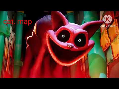 cat  map. and.  bog. day