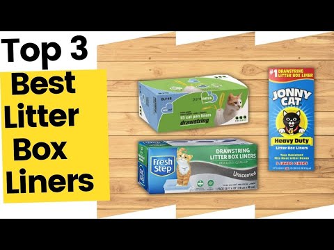Best Litter Box Liners, According to Experts