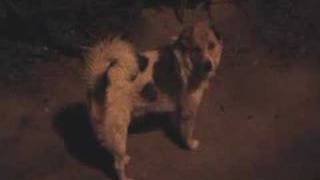 Xem Clip cua Rua ne!