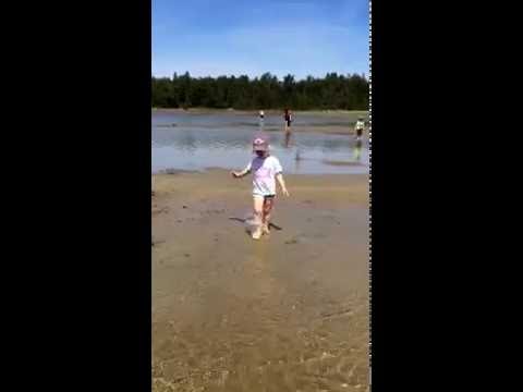 Singing Sands, The Beach 2016