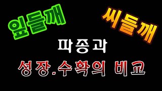 [텃밭농부.706]  잎들깨. 씨들깨의 파종과 성장, 수확의 비교 #들깨재배