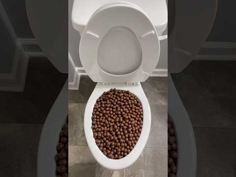 Don’t Eat Expired Chocolates #viralvideo