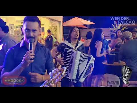 WENDER E FALCAO PADOOCK