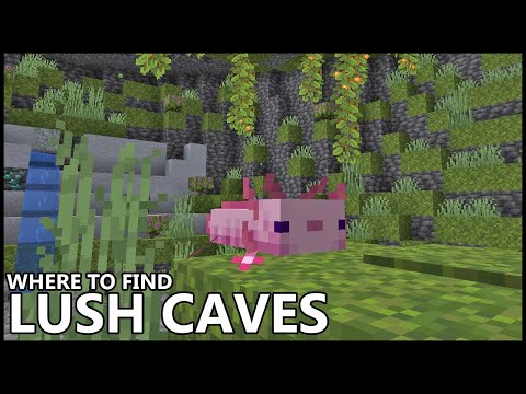 Where To Find LUSH CAVE BIOMES In MINECRAFT
