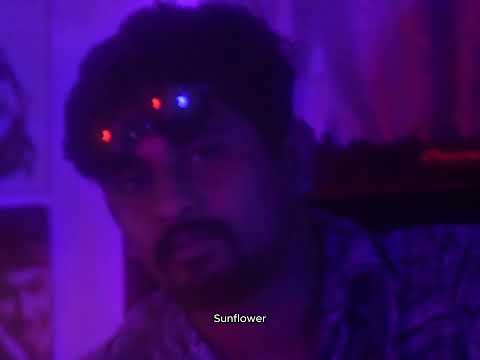 Arnon - Sunflower (Official Music Video)