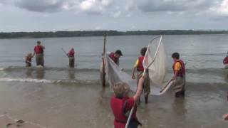 preview picture of video 'York River Seining'