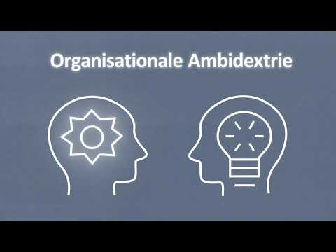 Unternehmen beidhändig führen – Ambidextrie in Organisationen