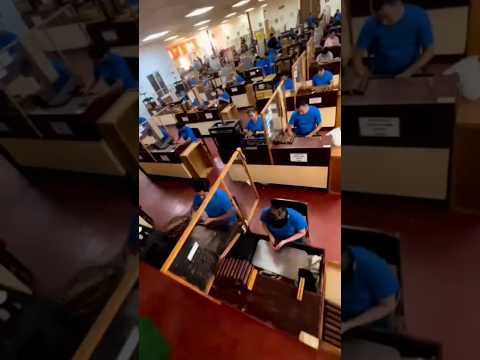 На сигарной фабрике 💨 #сигары #cohiba #хьюмидор #табак #davidoff #bolivar #montecristo