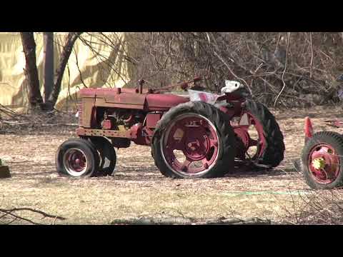 Petting Zoo Owner Trial