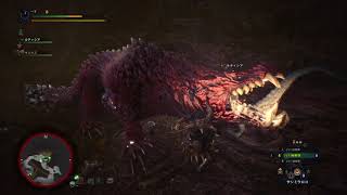 ライトボウガンでオドガロンを狩るだけ