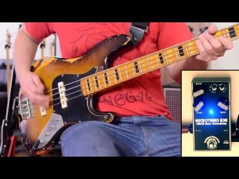 DARKGLASS B3K with 5 DIFFERENT BASSES