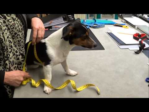 Messanleitung Führgeschirr