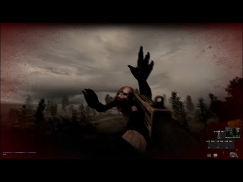 Simplemente una Quimera... - S.T.A.L.K.E.R Anomaly