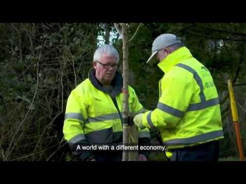 SDCC Draft Climate Change Action Plan