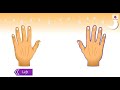 Directions - Left and Right | Mathematics Book B | Periwinkle