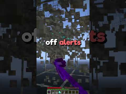 I Used X-Ray On My Server To Test My Staff!