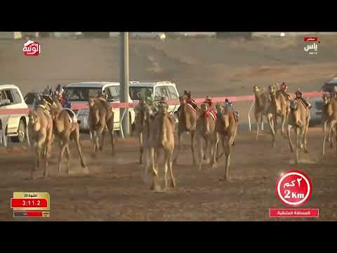  ش 20 (شاهين) لـ محمد سالم علي الدرعي 6:14:50 , مهرجان الشيخ محمد بن زايد 2025/12/24 حقايق الذيد 