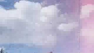 Don&#39;t Mess With Texas-- 2007