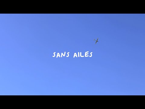 SANS AILES (Court métrage)