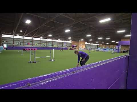 Tim & Diya - NADAC Intro Jumpers - Round 1. 10-11-2025