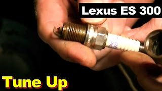 1994-1996 Lexus ES 300 Spark Plugs and Ignition Coil Packs Wiring