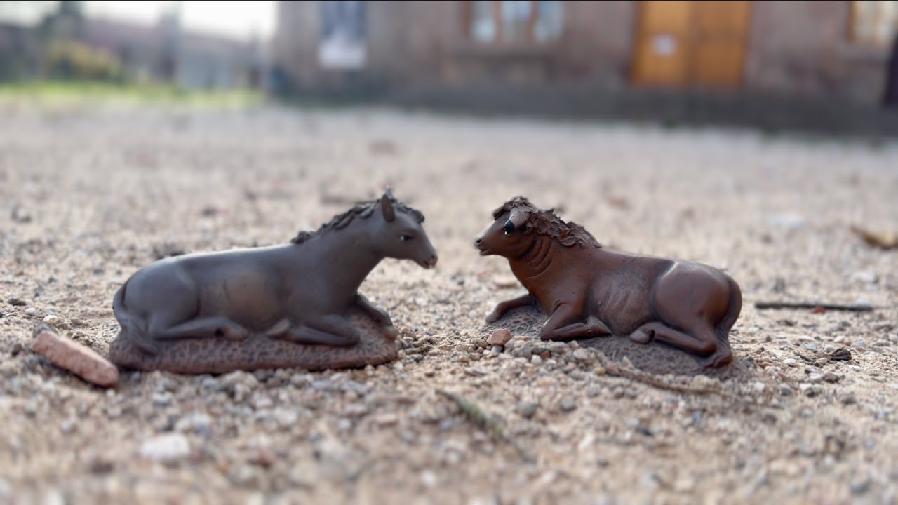 L’escola de música Musicant estrena la seva felicitació de Nadal 2025