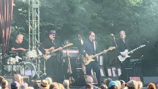 (The Angels Wanna Wear My) Red Shoes 👠 - Elvis Costello Live at The Woodland Park Zoo 6/12/2025