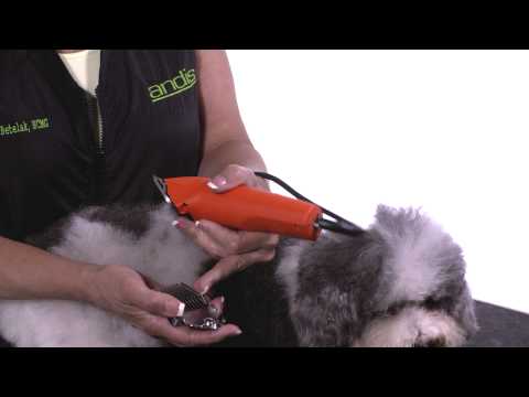 How To Use Attachment Combs - How to Groom Dogs with...