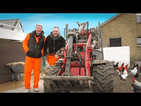 1 TAG AUF'M BAUERNHOF ARBEITEN! (angekettet mit SCHRADIN)