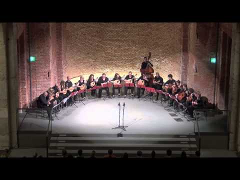 Oliver Kälberer: Zong 1