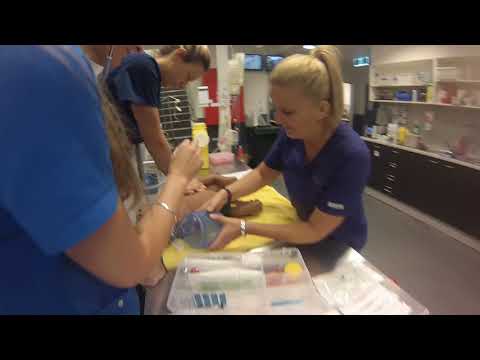 Carrara Mannequin Video